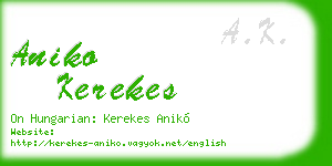 aniko kerekes business card